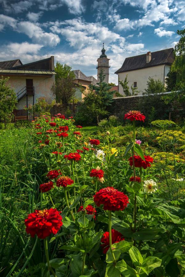 Hotel Penzion Borievka Poprad Zewnętrze zdjęcie